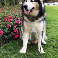 ��������Ե��ÿ�춼���ȳ��Χ�ĸо������������飬������èһ��