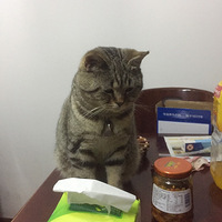 ȻĿҪģ