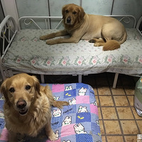 ߀��Ҫ�ִ�˯