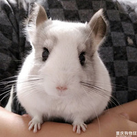 ��������Ե������ħVoldemort ��wanghong֮·