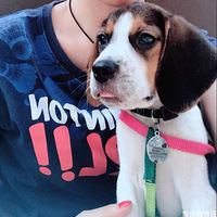 ��������Ե����С���Ǹ���ů�ıȸ����ã�˭��˭֪��