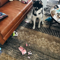 ������˺�ң���������������Ǯ˺�˵Ĺ�ʿ����϶���һ�μ���