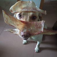 ��������Ե����Ȯ���͵��ճ��������