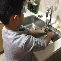 ����ϵ���ʳ�����������