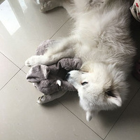 ��������Ե��ڤڤ֮�е�Ե