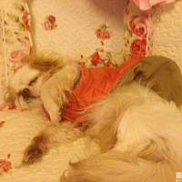 ��������Ե���п�С������16��