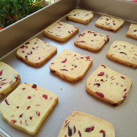 �ְ��ֽ�������Խݮ����