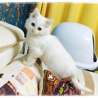 ���ҵĹ����ӿ�����