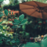 ���ڻ����У����ڲ����� ��֤�ҼҺ�Ǿޱ���޵��У��ӻ���������