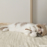 �ӷ����̫���˰����о�Ѫ�۶�Ҫ���ˣ��ȿ�����