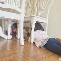 ��������Ե����Ȯ�㺢�ӳɳ�������?