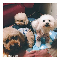 ������ר�á�������ֻ������ֻ���Ǽ����ģ������ܾ����Լ�׬����