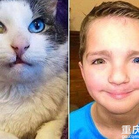 ��ɫͫ��С�к������������������ͬ������ɫͫ��è��