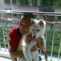 ֻ���ҳ��޺�����ǰְ������С�ް�