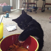 �����˵����֮�֣���������ľ��������Ҳ��ԣ�