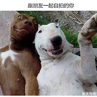 һȺĪ���ܸ�Ц�Ķ����ǣ����Ų�������½���������