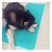 ����˹�ӣ��ڼ�����ѻƬ�ġ������ž���С����