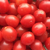 �±��� ���������