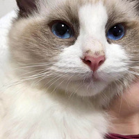 ���ҵĲ�żè���Ӹ�¥