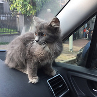 ���������Ҽҵ�лС��