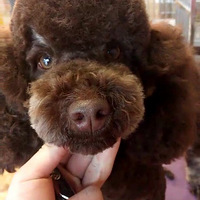 �������Ҿ��û��Ǹ�ȥ����