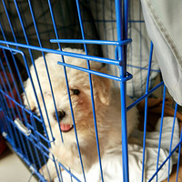 �ɿɵĹ۲��ռ�