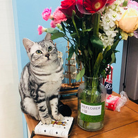 ���������������ѣ���������ɳƺ��