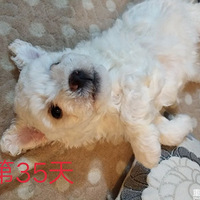 ����������??