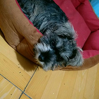 �����ﵷ���ա���Ի��Ѿ�ʲô������ס���ˣ�