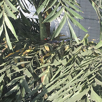 ���ߵ�Сϲȵ�������ˣ�