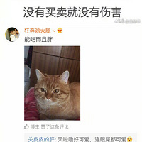 ��һֻ��è��ʲô�������飿�����Ѷ����������ֵ�