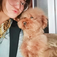 ë��ֽɧ��������Ҳֻ�п���վ