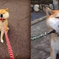 Ϊ�����ӻؼң���ʺ���ǾͲ�����ˡ���