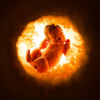 �Ӳ�ϲ���޶���ϲ���޶���Ҳ����ֻ��Ҫ�����У���������Ƭ��