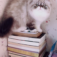 ����ë���Լ�������ʶ�Լ���