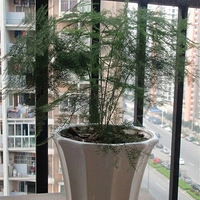 �����Ĵ���