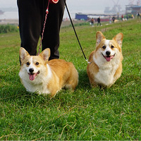 �����ã�С��������Ҫ�һ��