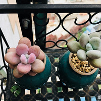 ��Щ�꣬�����Ļ�������