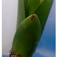 �����ӿ������̣�����������ô�����ģ�