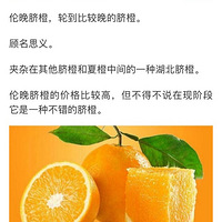 ���ڱ�����ά����C���Ҹ�������ʳ����