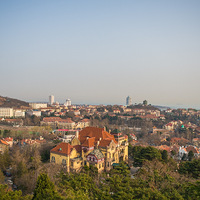 ��ǣ��С��ȥ���С�����������ɫ���ൺ