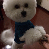 �����ﵷ���ա��Ҽ��и���˾��