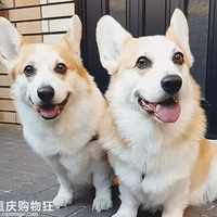 ˫��̥�»���������Ѭ��ױ��Ҫ�����������ЦҲͬ��