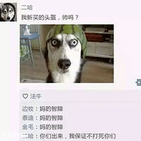 �������Ҳ������Ȧ