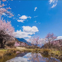 �������ء��޾�֮�� ���μ������ļ������ء���