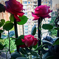 ������������ġ���