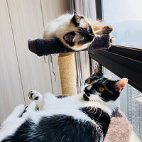 ��ż�������Ϲ�����