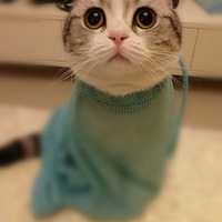 �Ի��4��10��һ���ˡ�