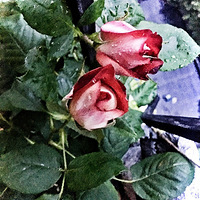 Ī�ݿ��Ļ������̣����������󣬻���