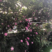 û�л��㣬û�����ߣ�����һ������֪����С